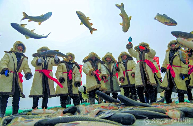 无码人妻少妇色欲AV一区二区