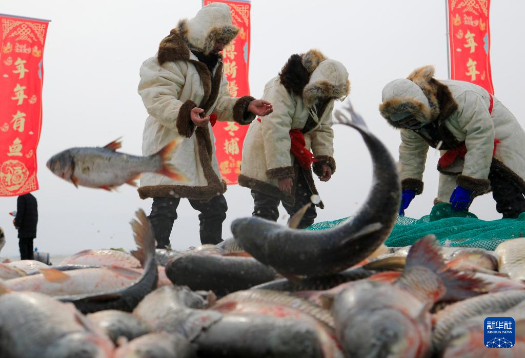 无码人妻少妇色欲AV一区二区