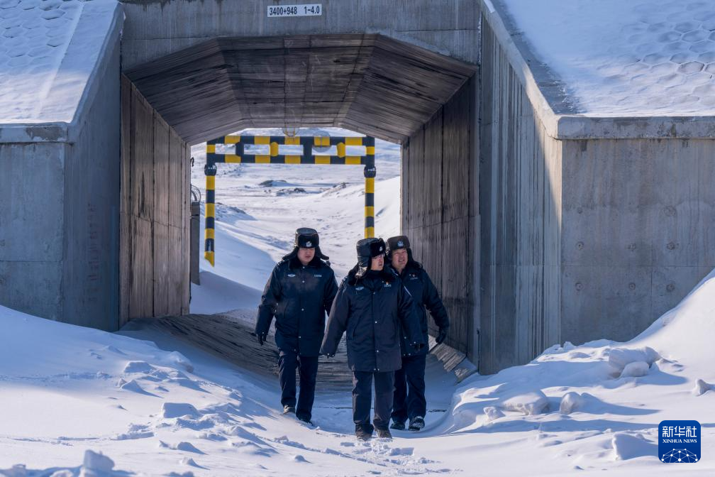 无码人妻少妇色欲AV一区二区