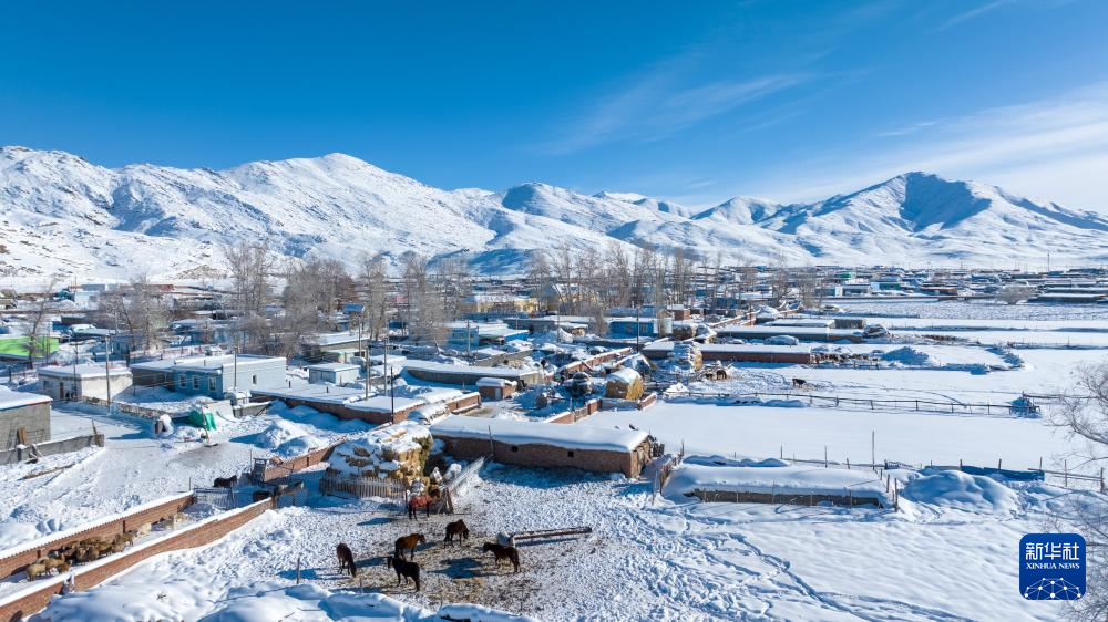 无码人妻少妇色欲AV一区二区