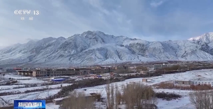 无码人妻少妇色欲AV一区二区