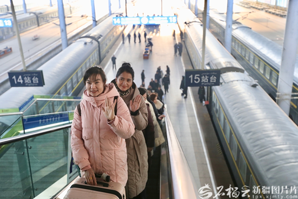 无码人妻少妇色欲AV一区二区