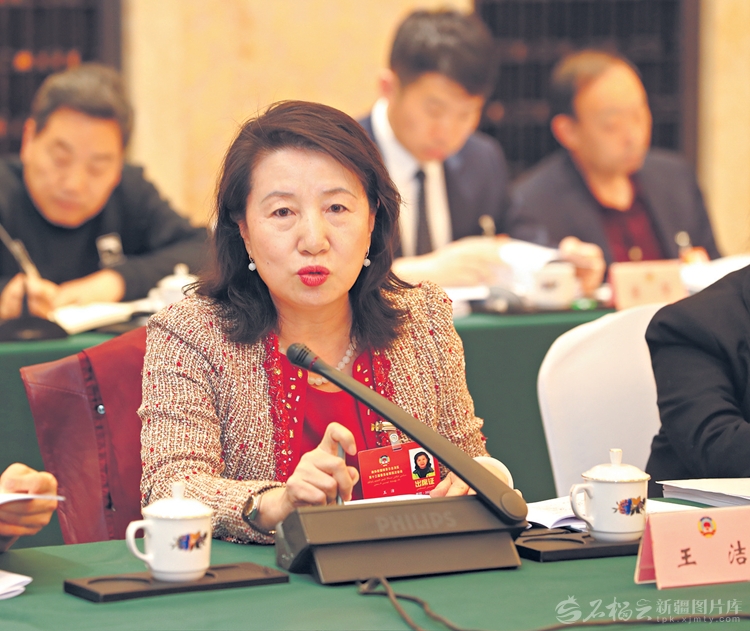 无码人妻少妇色欲AV一区二区