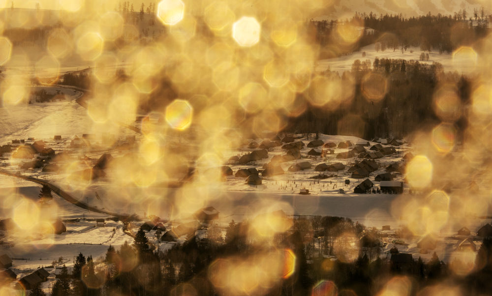 无码人妻少妇色欲AV一区二区