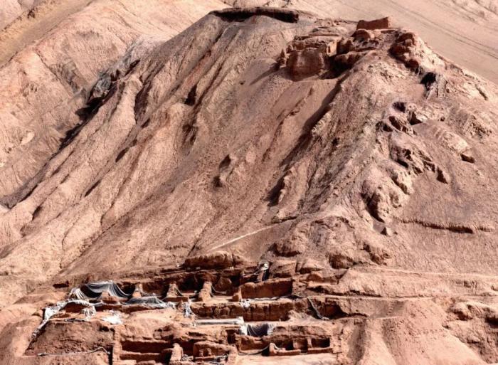 无码人妻少妇色欲AV一区二区