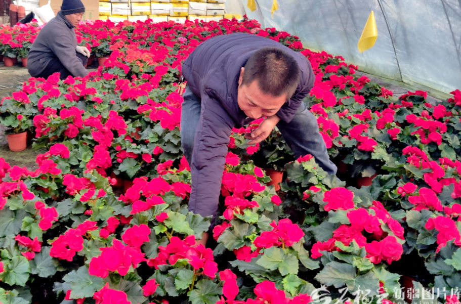 无码人妻少妇色欲AV一区二区