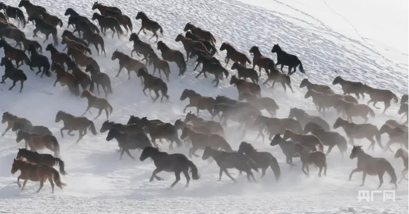 无码人妻少妇色欲AV一区二区