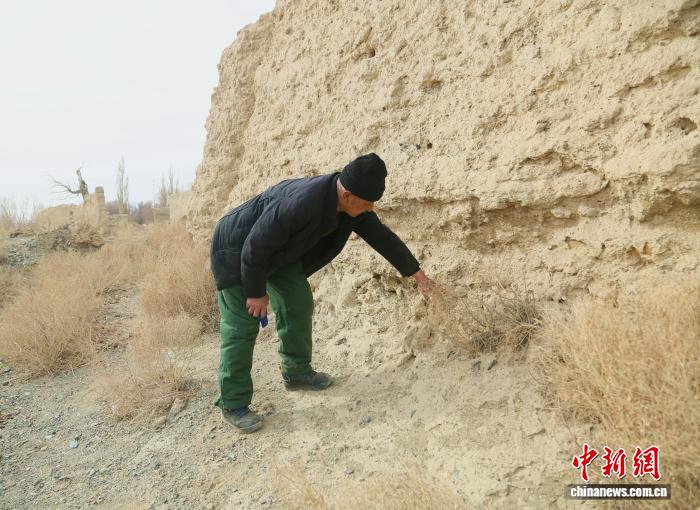 无码人妻少妇色欲AV一区二区