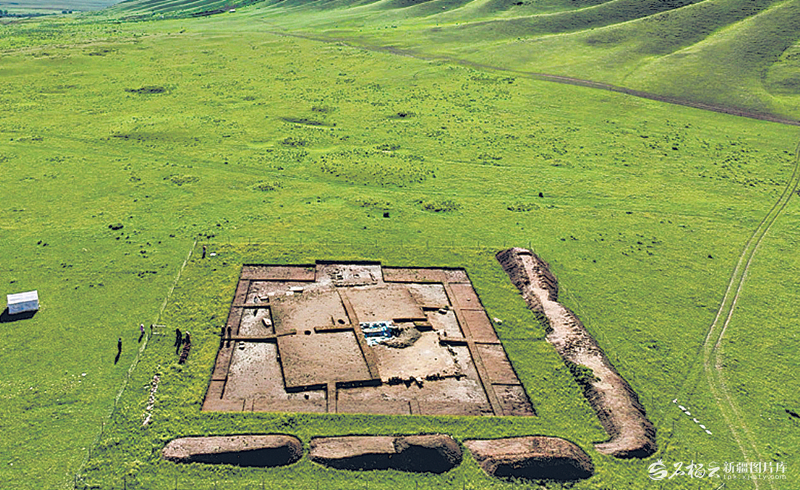 无码人妻少妇色欲AV一区二区