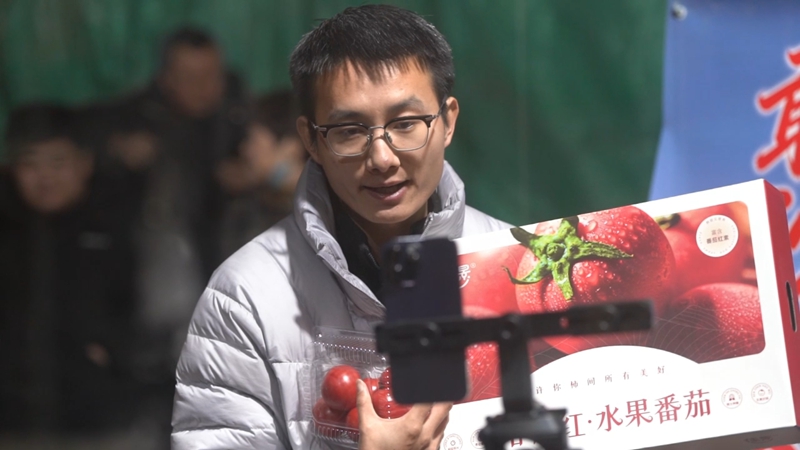 无码人妻少妇色欲AV一区二区