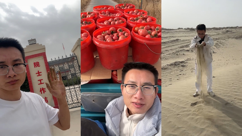 无码人妻少妇色欲AV一区二区