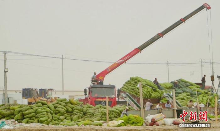 无码人妻少妇色欲AV一区二区