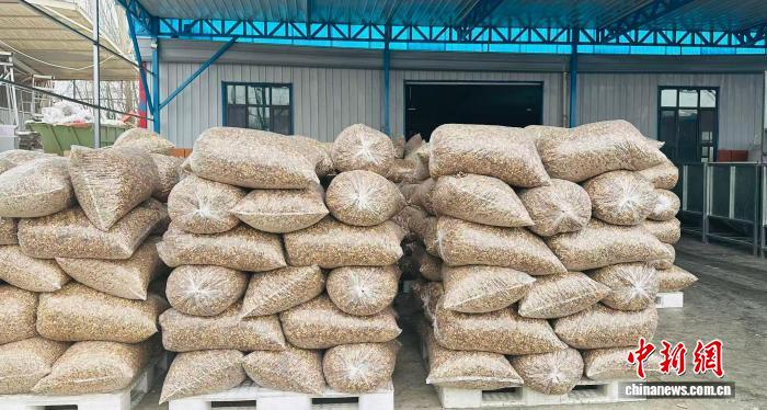 无码人妻少妇色欲AV一区二区