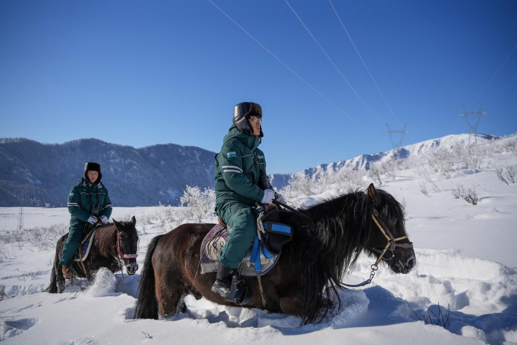 无码人妻少妇色欲AV一区二区