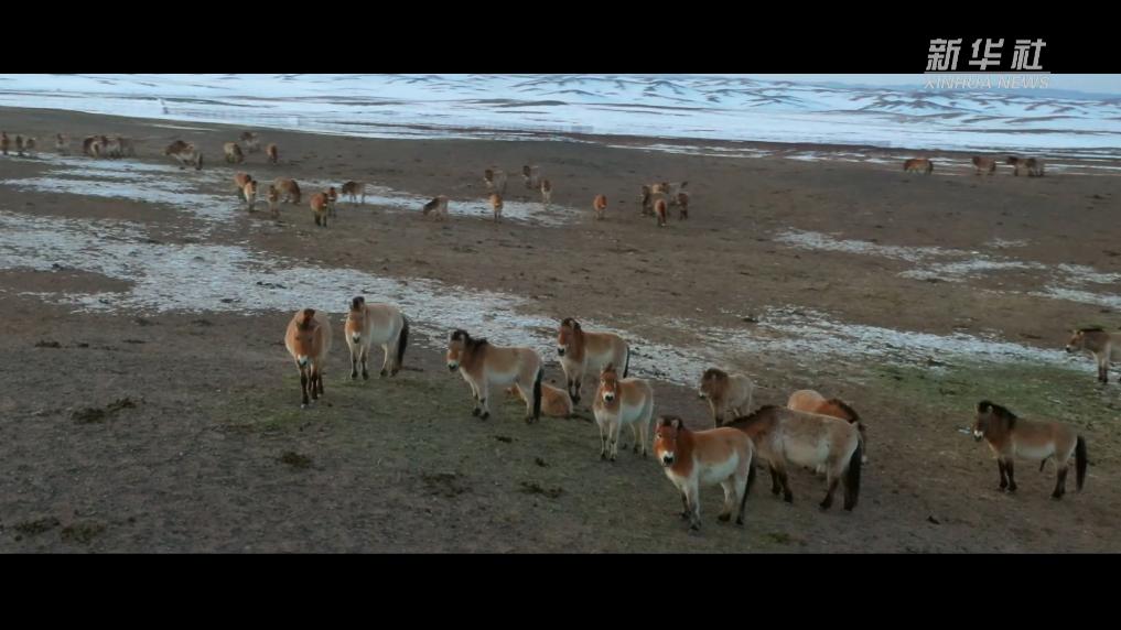 无码人妻少妇色欲AV一区二区