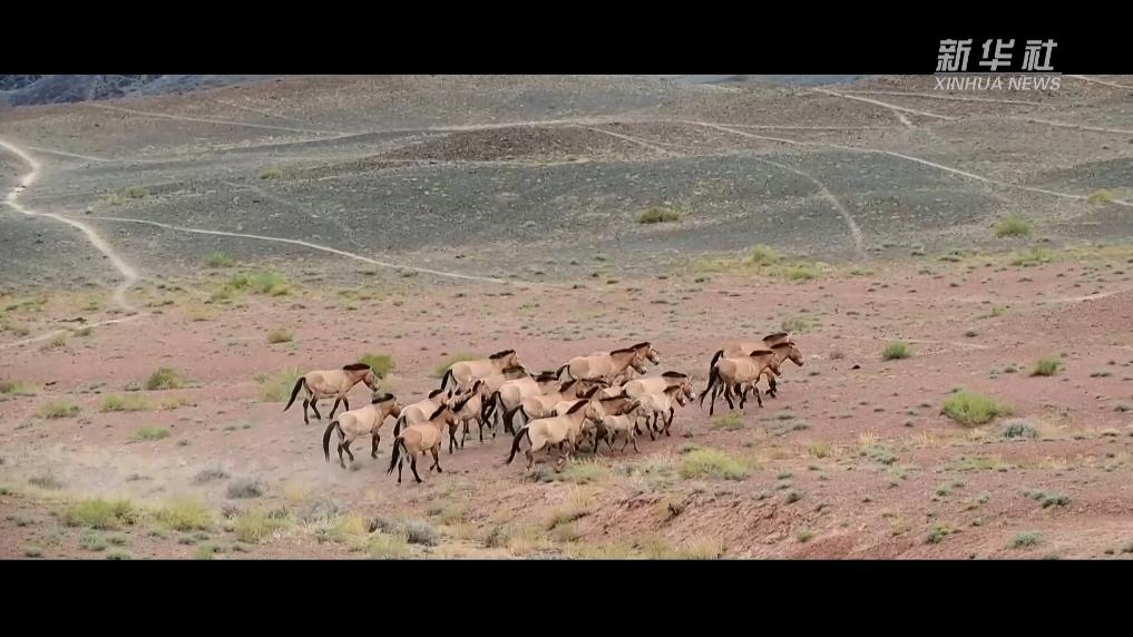 无码人妻少妇色欲AV一区二区