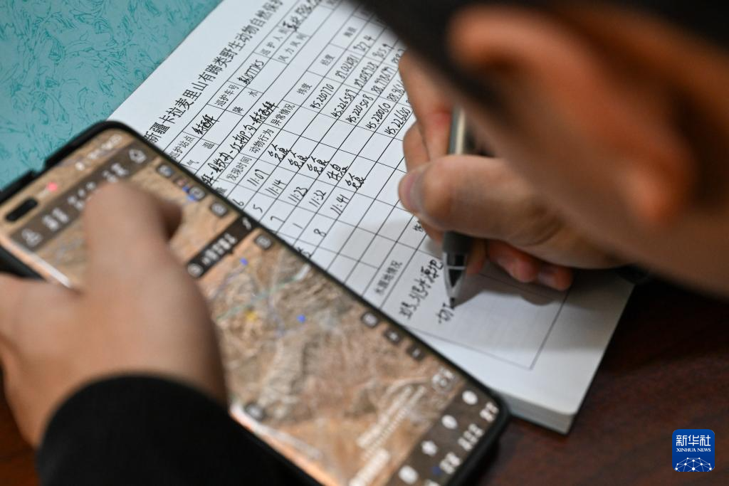 无码人妻少妇色欲AV一区二区