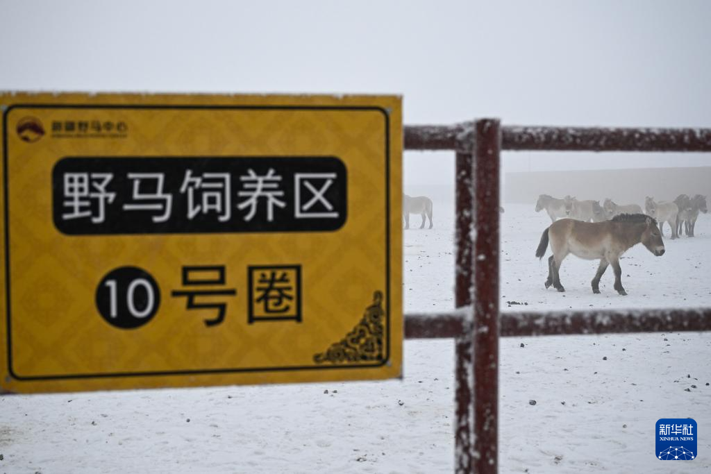 无码人妻少妇色欲AV一区二区