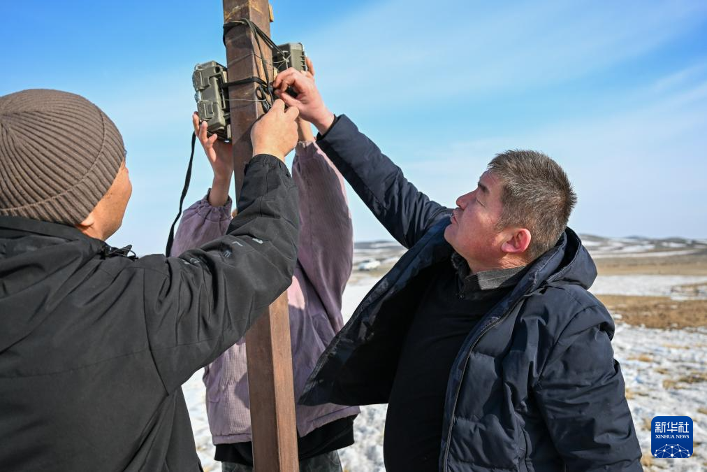 无码人妻少妇色欲AV一区二区