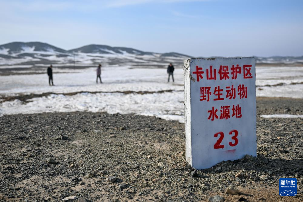 无码人妻少妇色欲AV一区二区