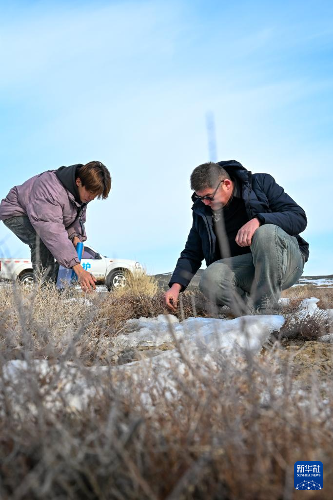 无码人妻少妇色欲AV一区二区