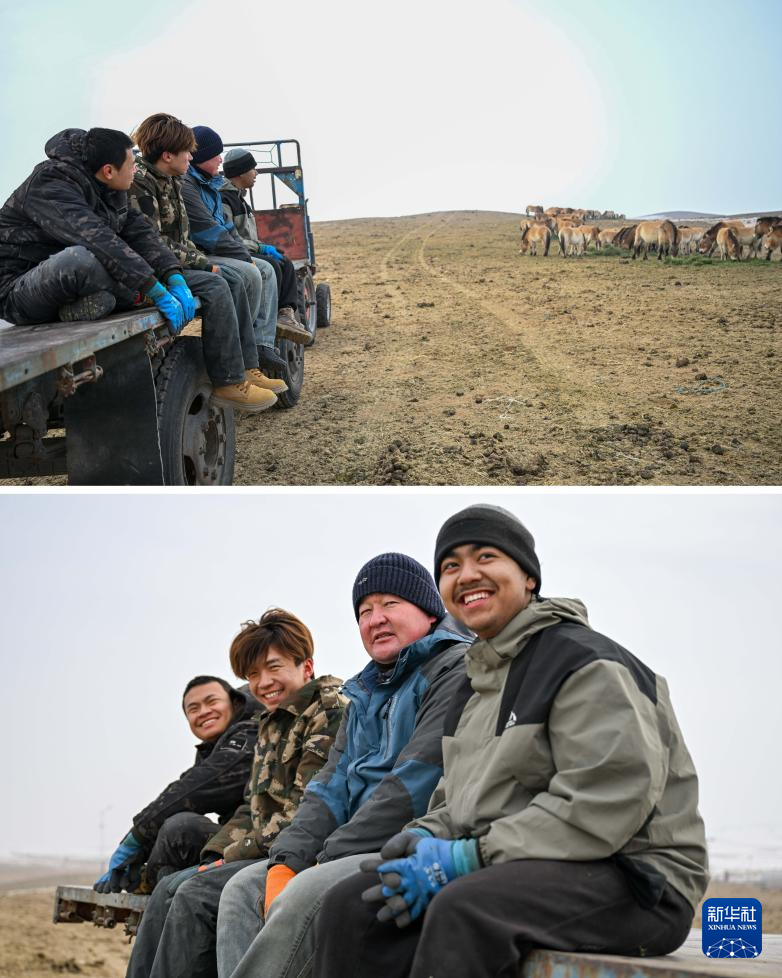 无码人妻少妇色欲AV一区二区