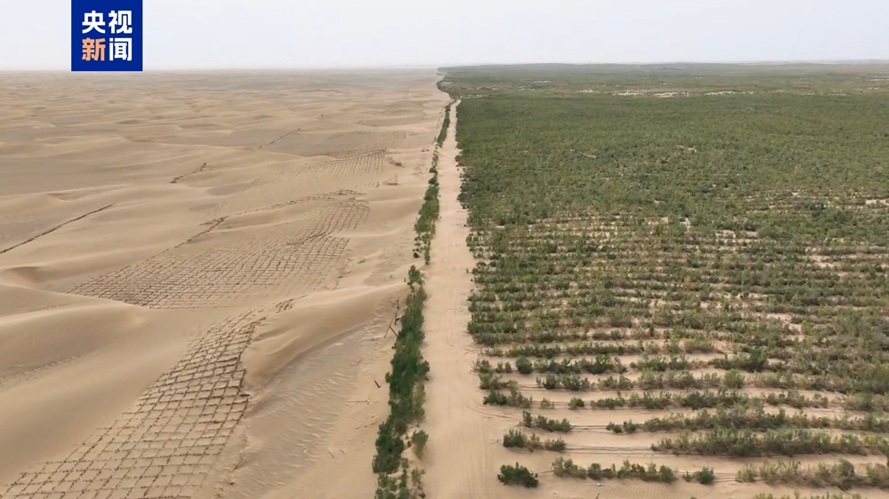 无码人妻少妇色欲AV一区二区