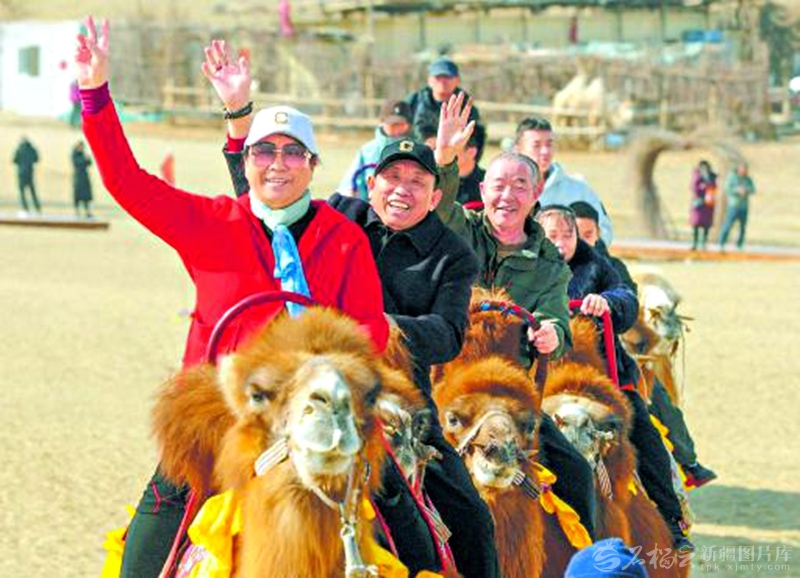 无码人妻少妇色欲AV一区二区