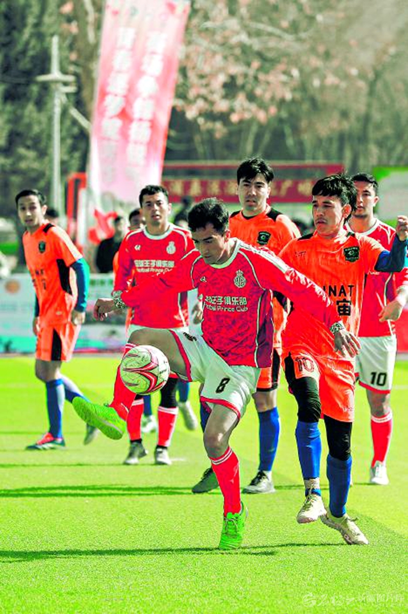 无码人妻少妇色欲AV一区二区