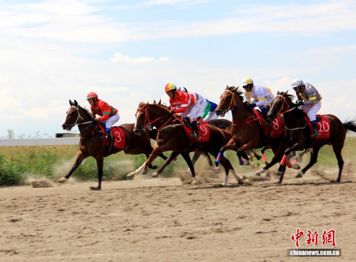 无码人妻少妇色欲AV一区二区