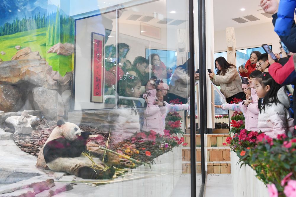 无码人妻少妇色欲AV一区二区