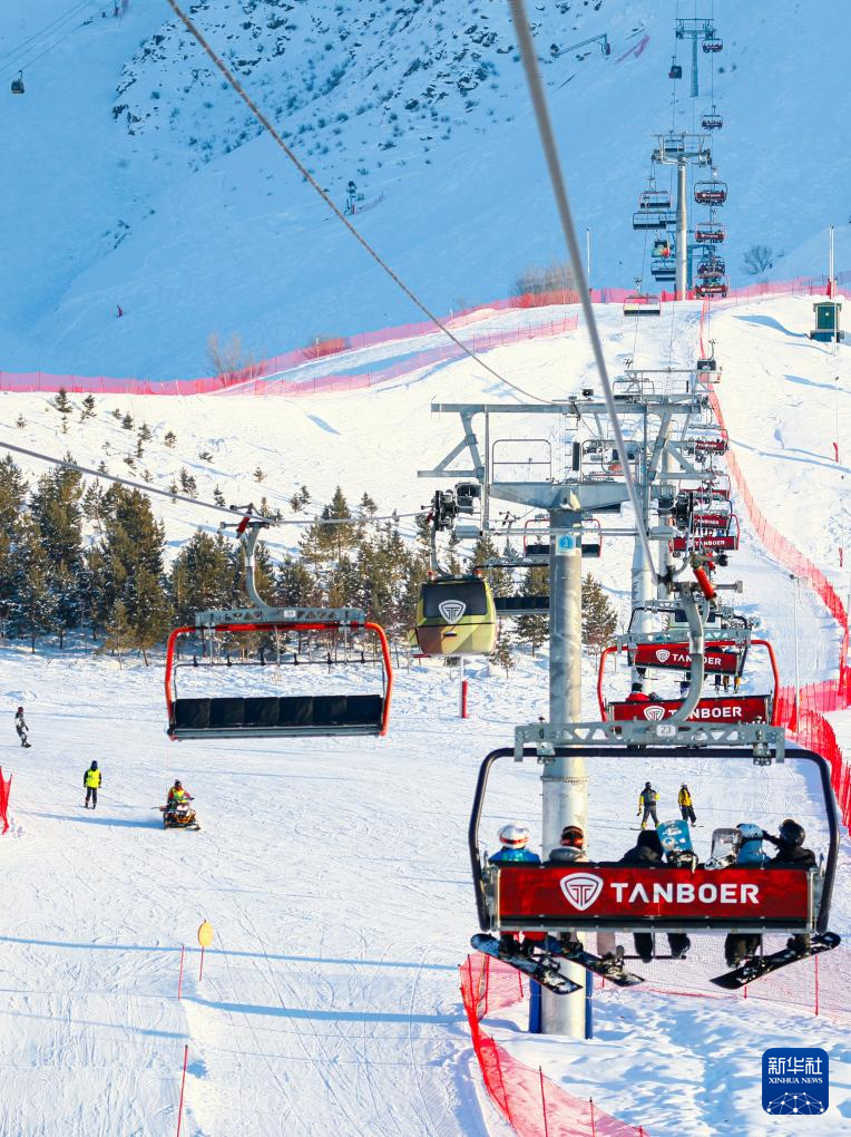 无码人妻少妇色欲AV一区二区