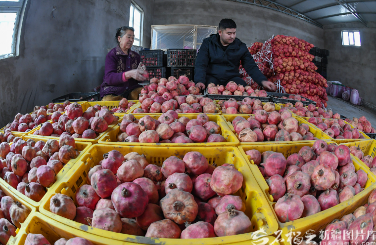 无码人妻少妇色欲AV一区二区