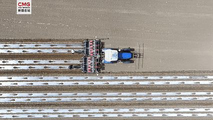 无码人妻少妇色欲AV一区二区