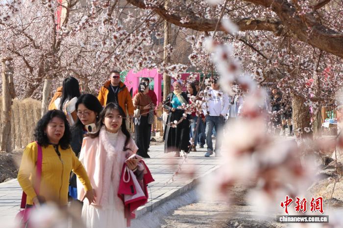 无码人妻少妇色欲AV一区二区