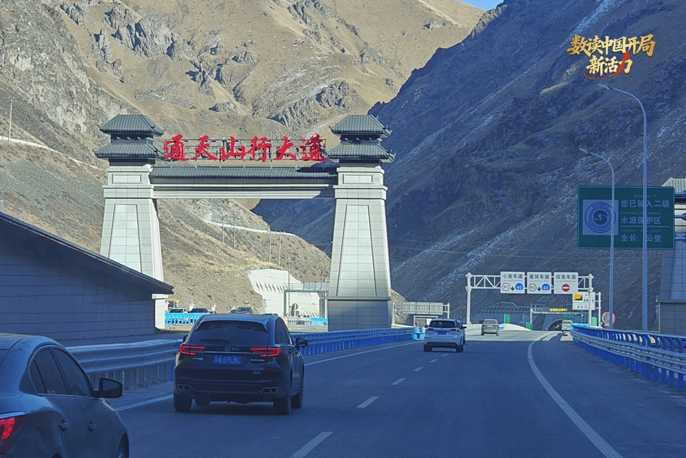 无码人妻少妇色欲AV一区二区