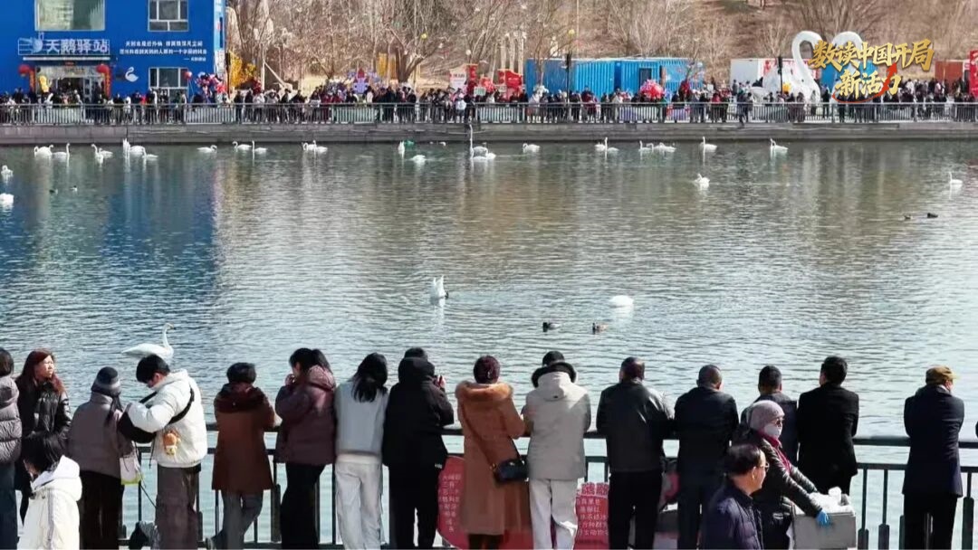 无码人妻少妇色欲AV一区二区