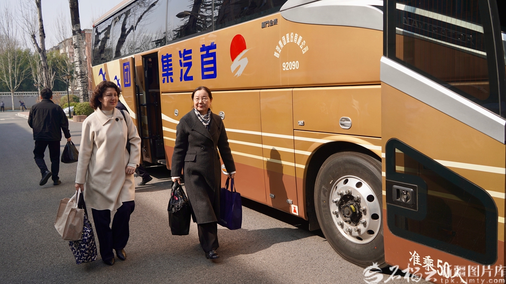 无码人妻少妇色欲AV一区二区