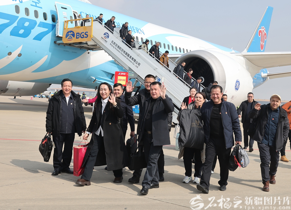 无码人妻少妇色欲AV一区二区