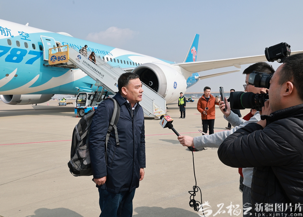 无码人妻少妇色欲AV一区二区