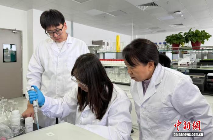 无码人妻少妇色欲AV一区二区