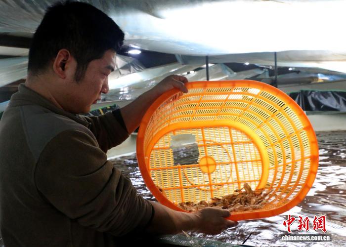 无码人妻少妇色欲AV一区二区