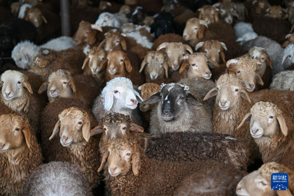 无码人妻少妇色欲AV一区二区