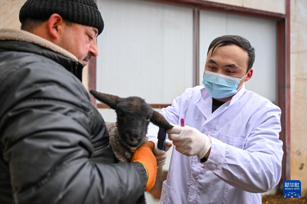 无码人妻少妇色欲AV一区二区