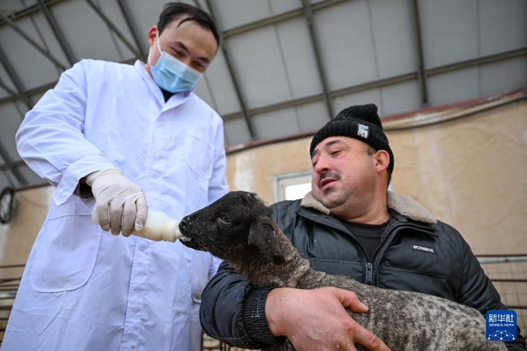 无码人妻少妇色欲AV一区二区