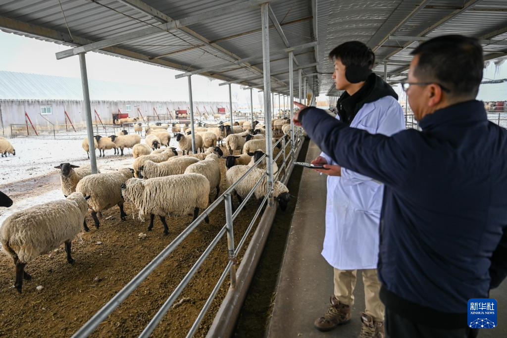 无码人妻少妇色欲AV一区二区