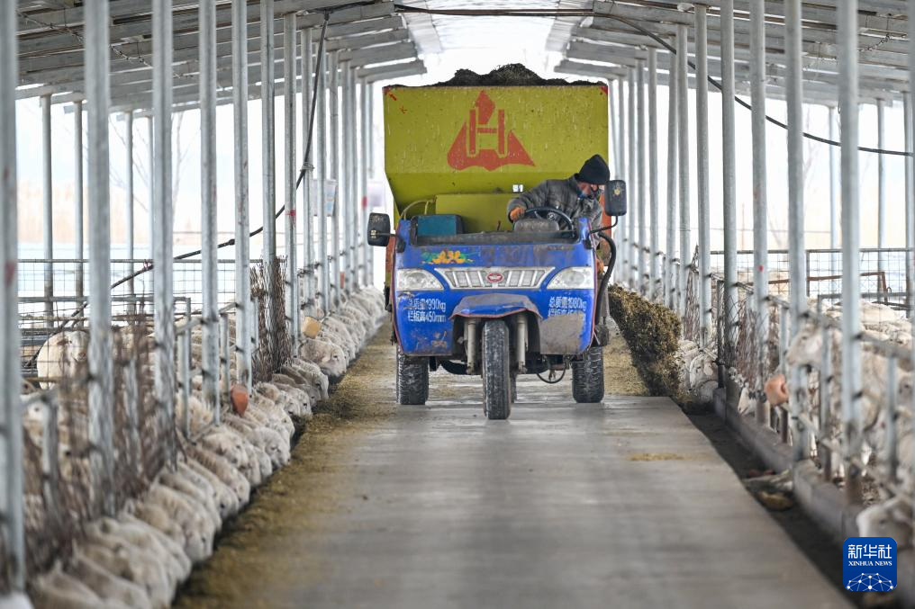 无码人妻少妇色欲AV一区二区