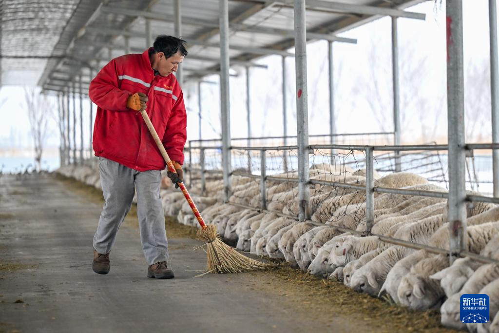 无码人妻少妇色欲AV一区二区