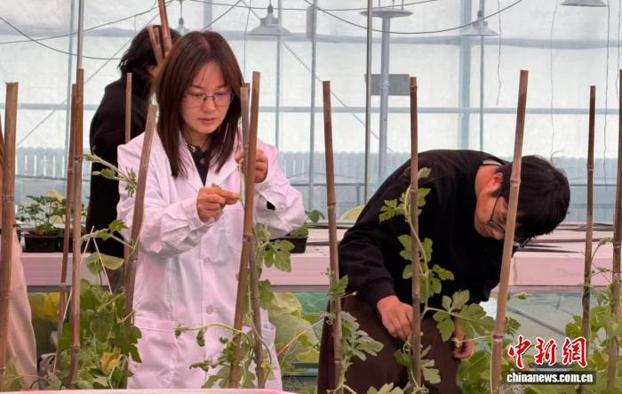 无码人妻少妇色欲AV一区二区