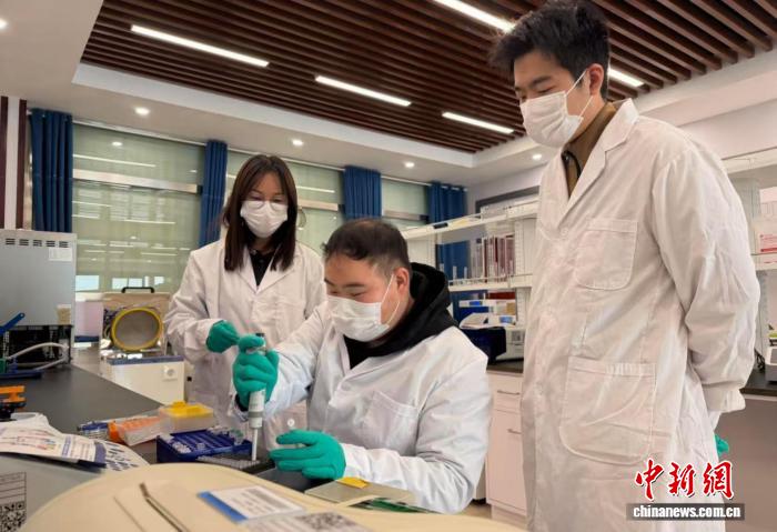 无码人妻少妇色欲AV一区二区